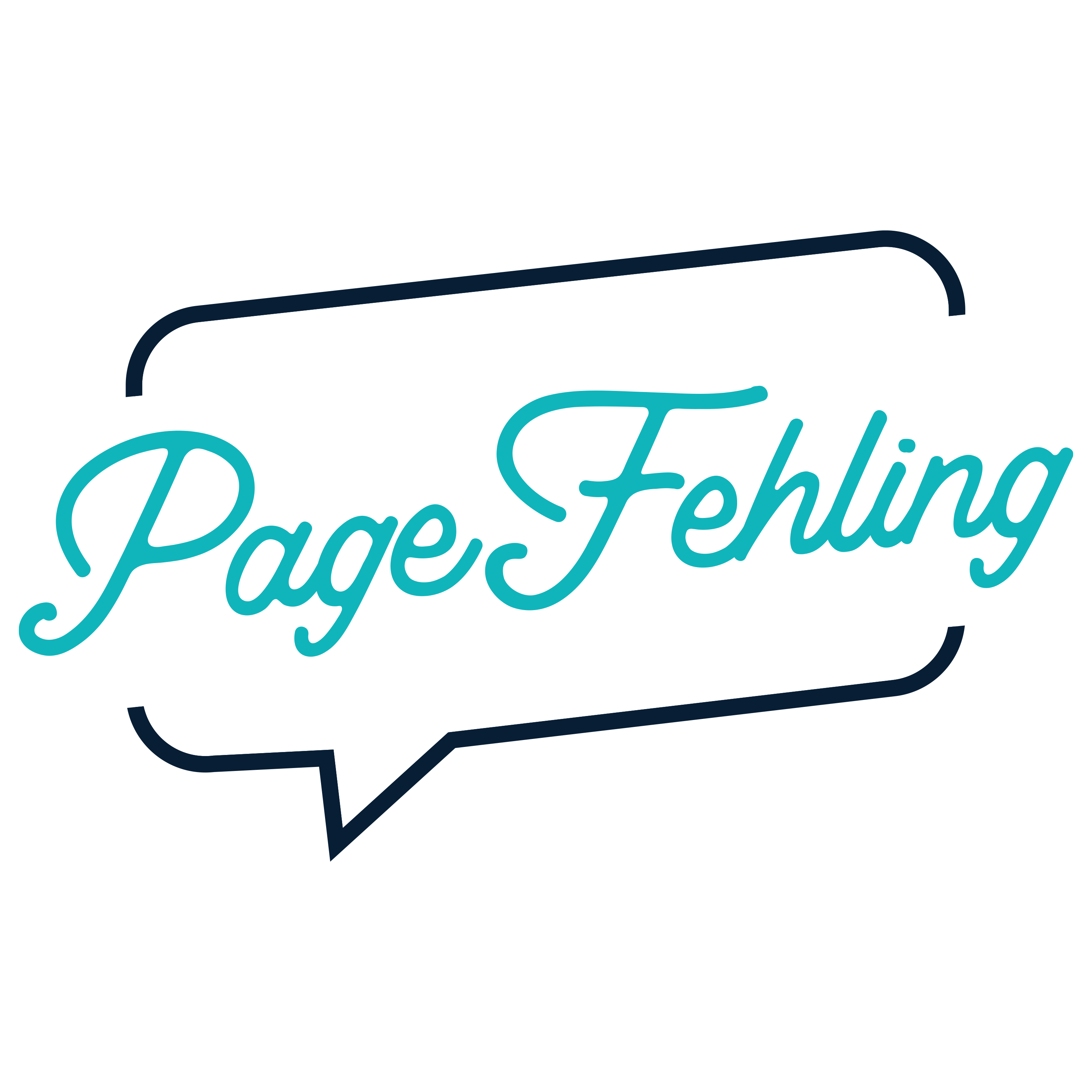 page fehling